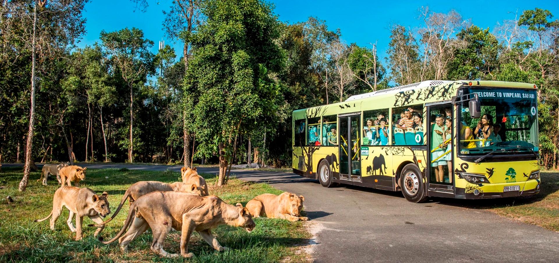 Vườn thú mở Safari với nhà chim 9.600 m²